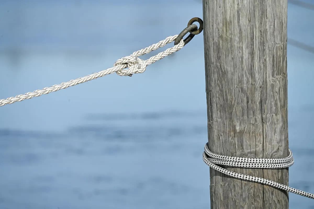 Knots — health symptom